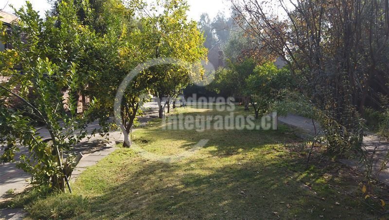 Foto 8
