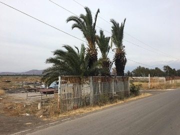 Foto 19