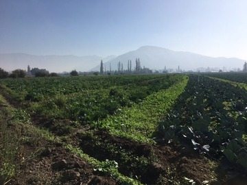 Terreno a la Venta en Sector Ohiggins Ignacio Carrera, Lampa.