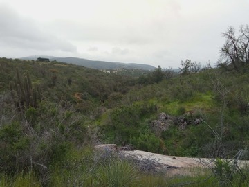 vista desde el terreno