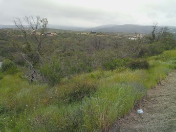 Vista desde el terreno