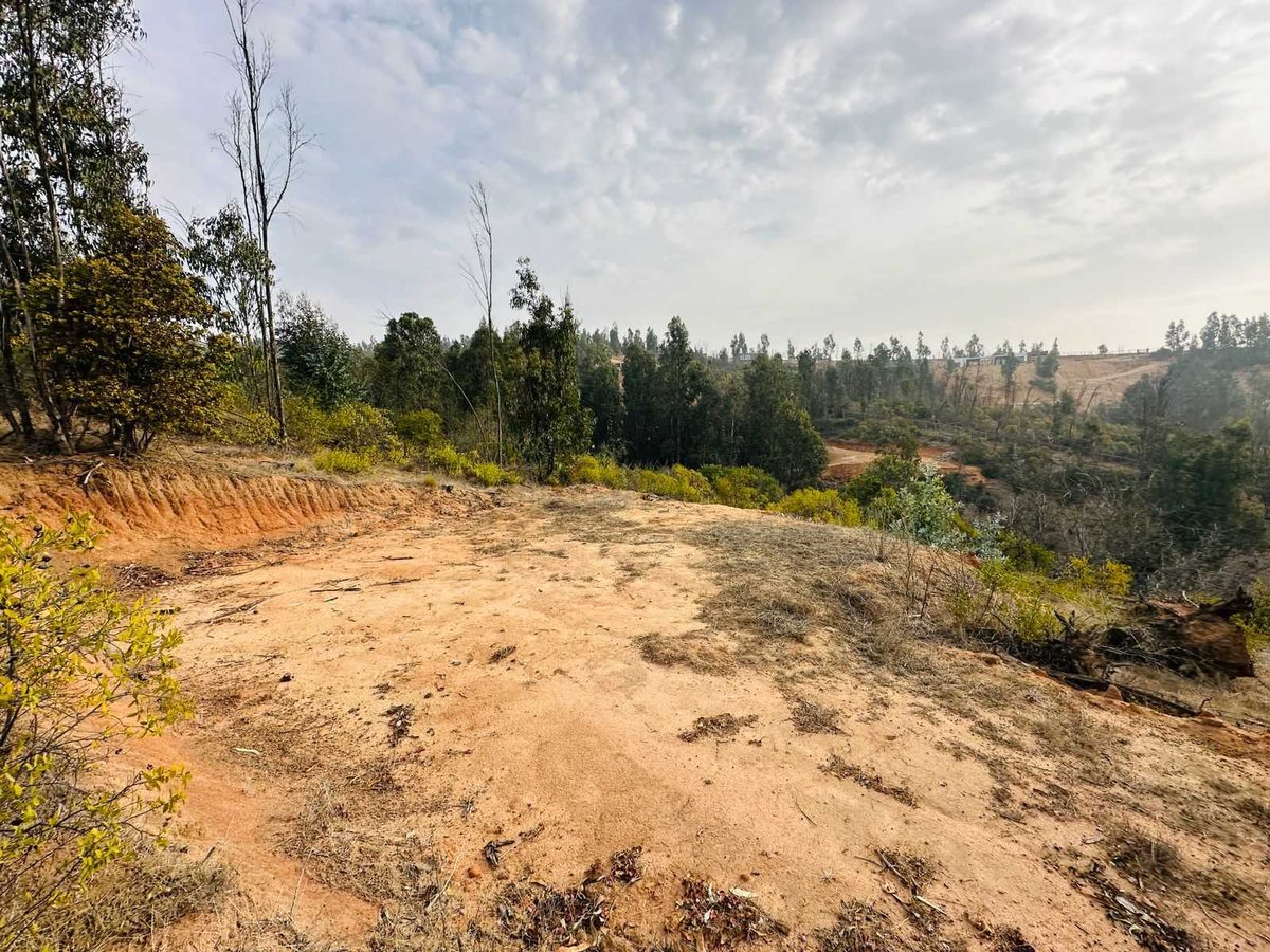 Terreno en Venta en Limache, Venta parcela 5000 mts2 valle verdemarlimache (179219)
