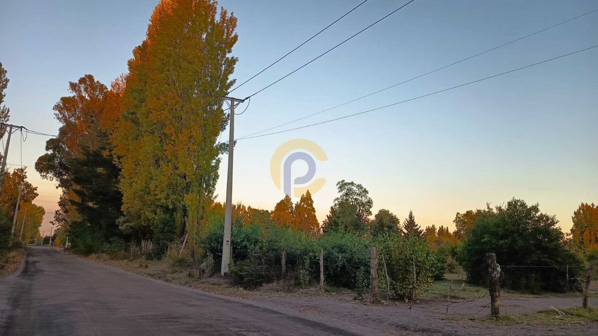 Foto 20