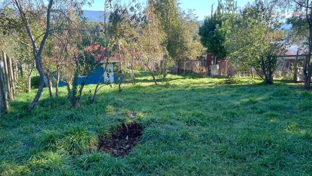 Foto 8