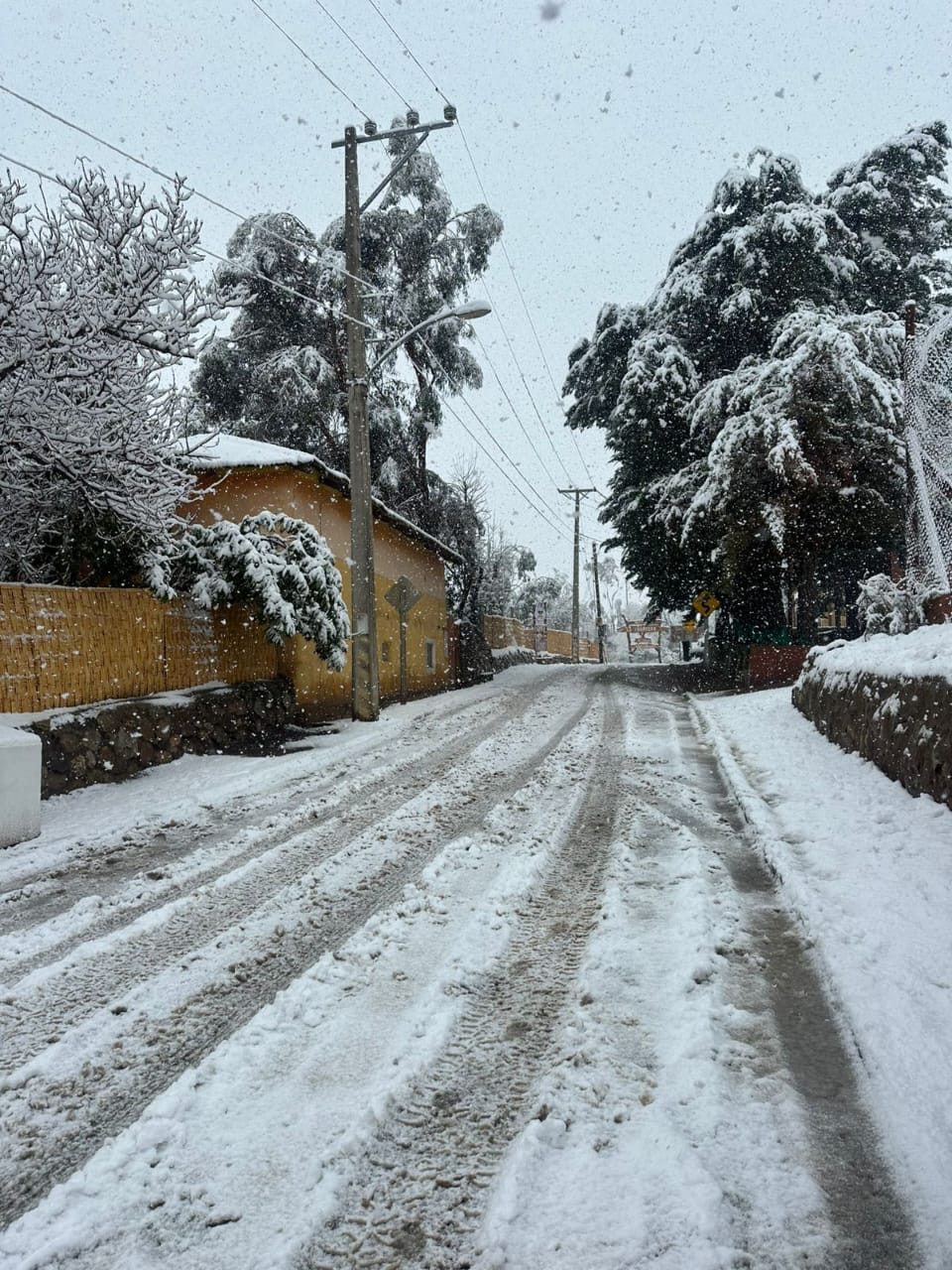 Calle Principal