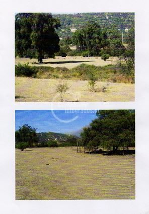 Terreno en Venta en Puente Alto, santa isabel puente alto
