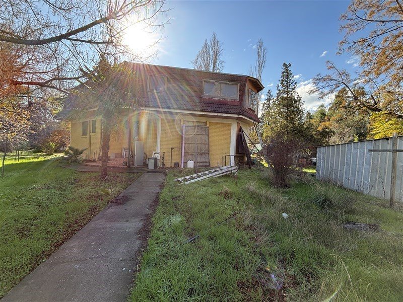 Foto 19