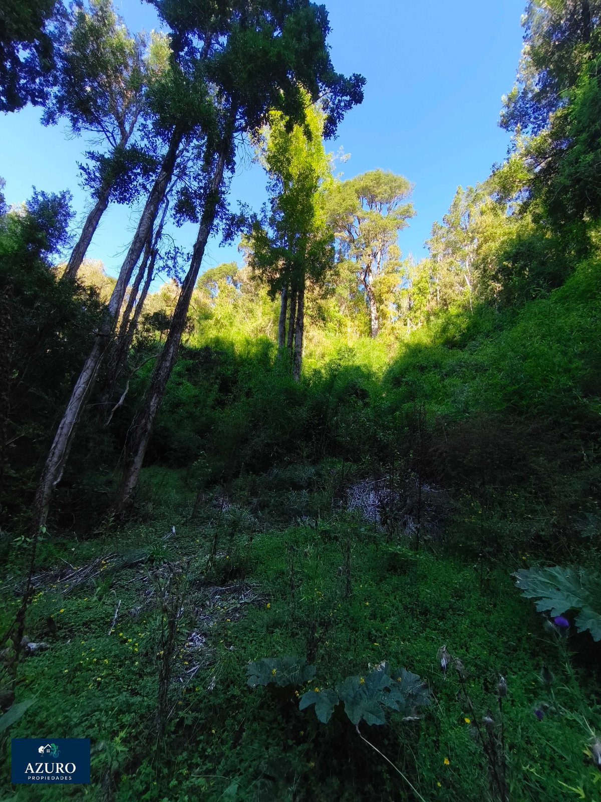 Foto 15