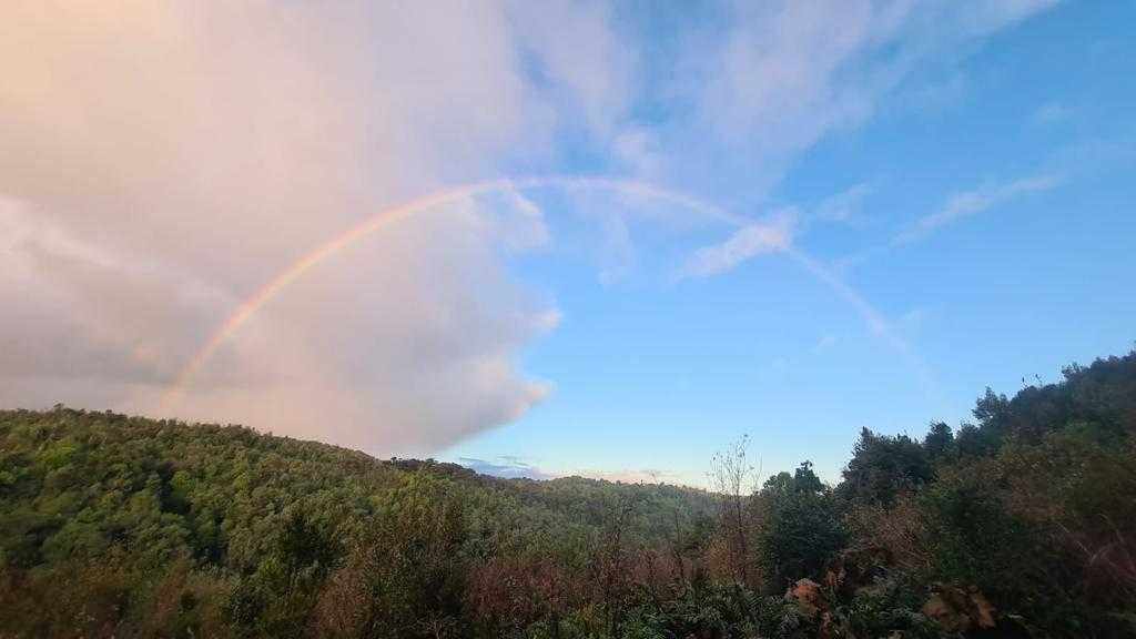 Foto 9