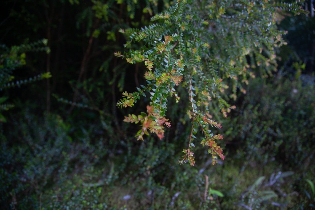 Foto 17