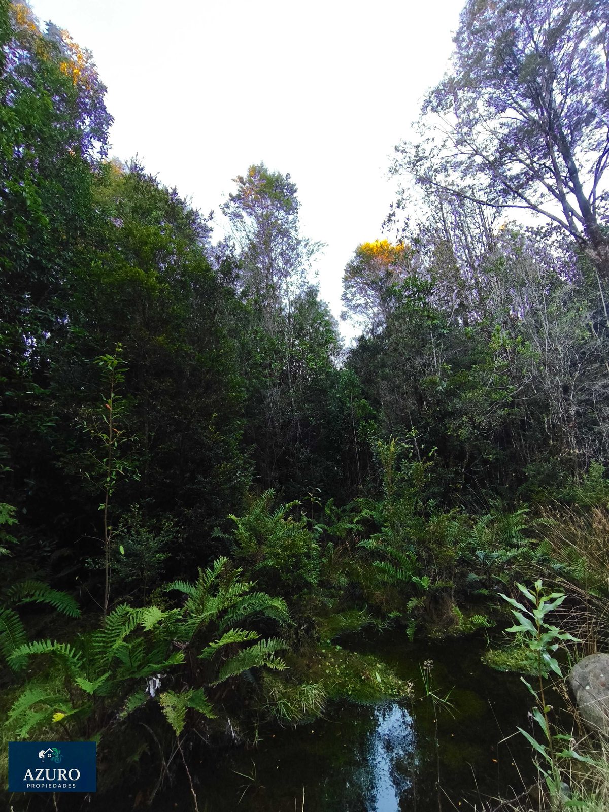 Foto 17