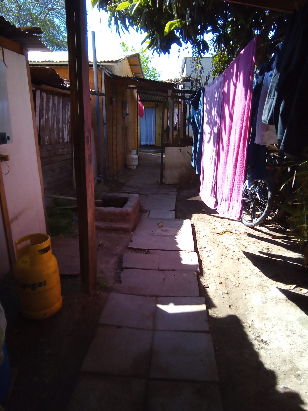 Foto 12