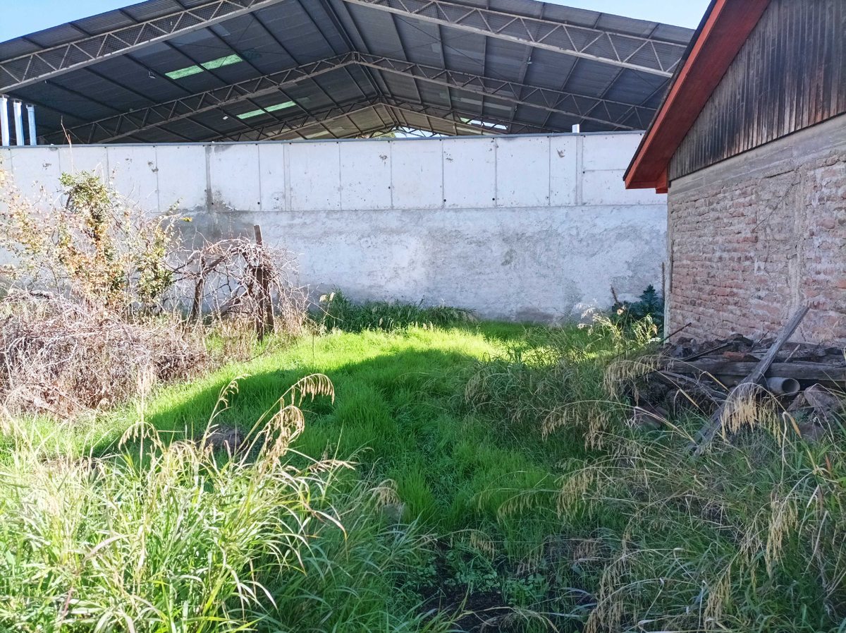 Foto 13