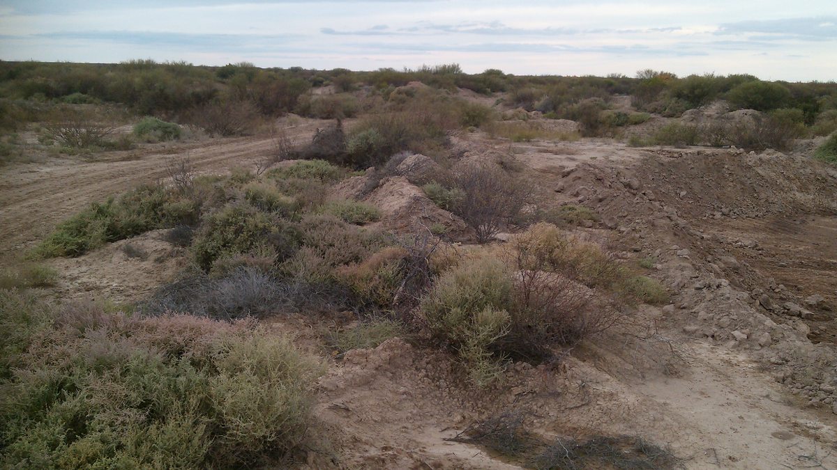Foto 3