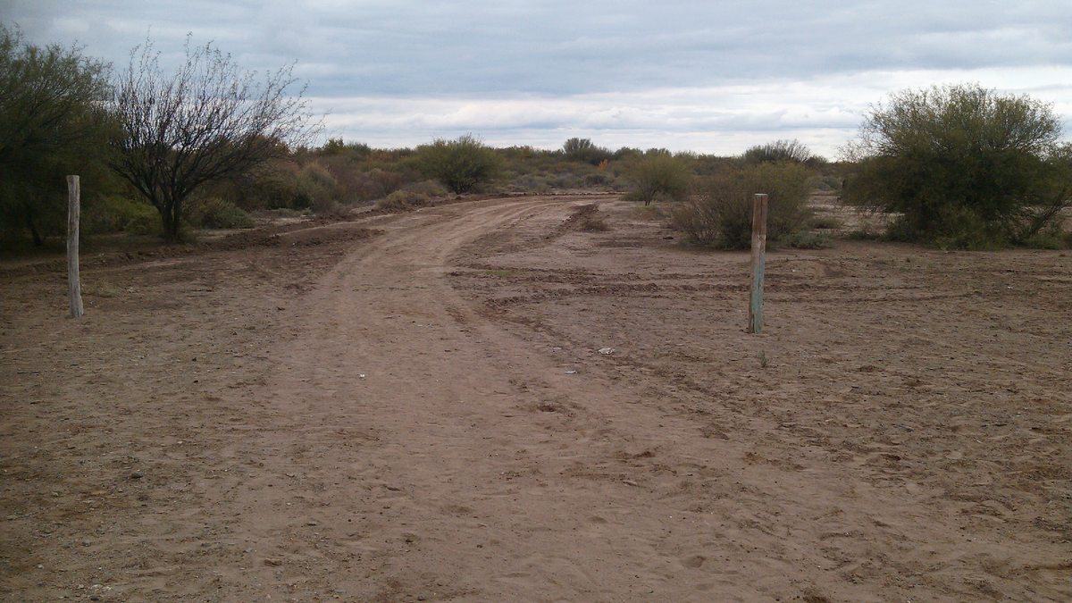 Terreno en Venta en Santiago, Ruta Nacional 40. Lavalle. Mendoza, Argentina