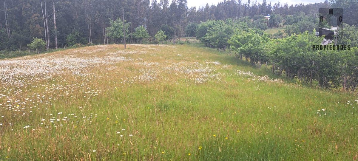 Terreno en Venta en Valdivia, La unión