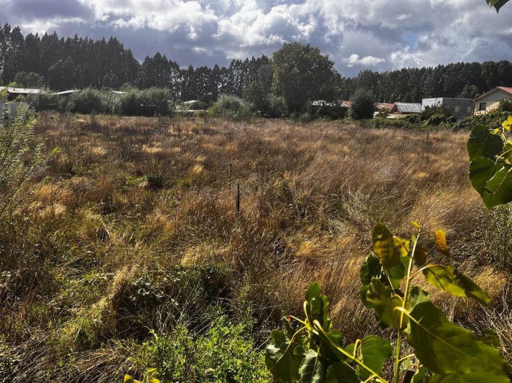Terreno en Venta en Valdivia, Amplio terreno en calle arica 2780, valdivia.