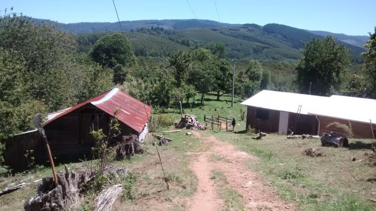 Terreno en Venta en Valdivia, Valdivia
