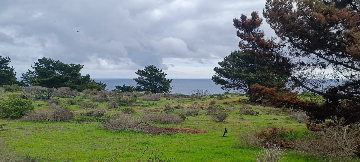 Terreno en Venta en Valparaíso, Camino Al Faro, Valparaíso, Valparaíso 2340000, Chile
