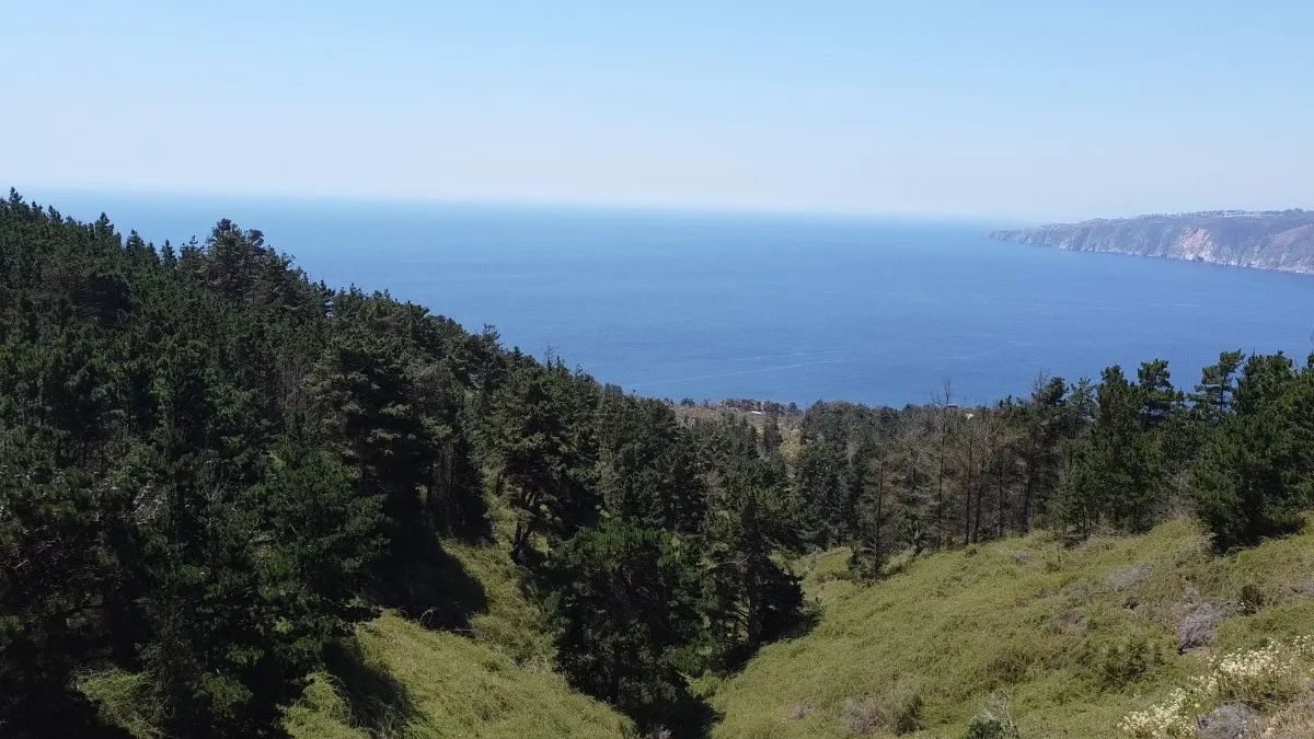 Terreno en Venta en Valparaíso, Camino Al Faro, Valparaíso, Valparaíso 2340000, Chile